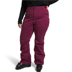 The North Face Freedom Stretch Plus Tall Pants - Women's